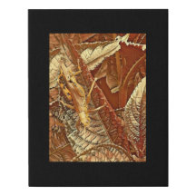 Canvas noir multimédia numérique