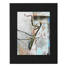 Canvas noir multimédia numérique