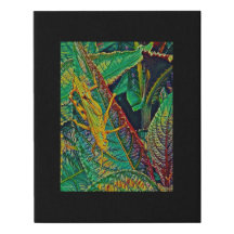 Canvas noir multimédia numérique