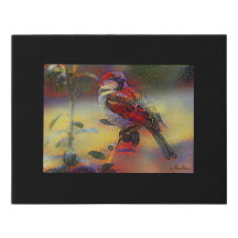 Canvas noir multimédia numérique