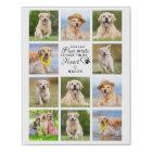 Empreintes de pattes My Heart Pet Memorial 11 Phot