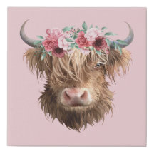 Highland Cow