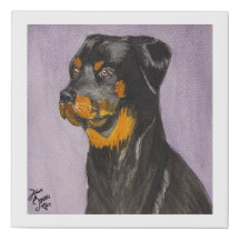 Image Rottweiler