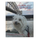 L'animal familier "amour est un mot quadrupède"