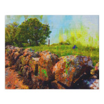 Mur De Pierre En Été, Galway, Irlande