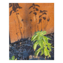 Ombres basales (acier corten)
