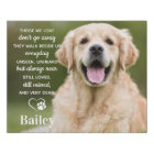 Pet Memorial Pet Perdre Cadeau Chien Photo
