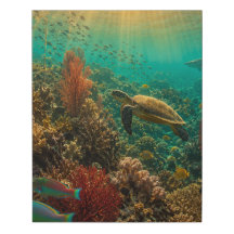 Récif de corail vivant spectaculaire sous l'eau su
