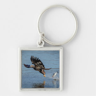 Immature Bald Eagle dropping a fish Keychain