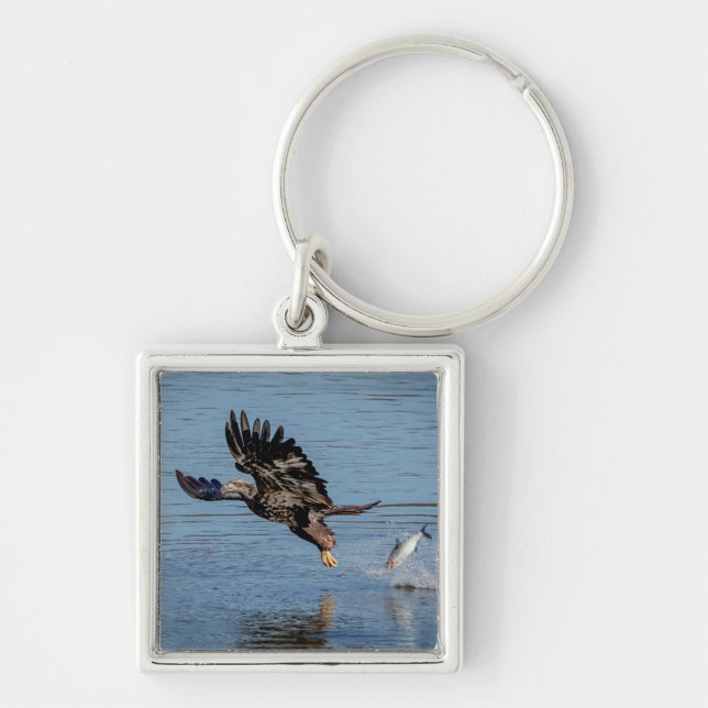 Immature Bald Eagle dropping a fish Keychain (Front)