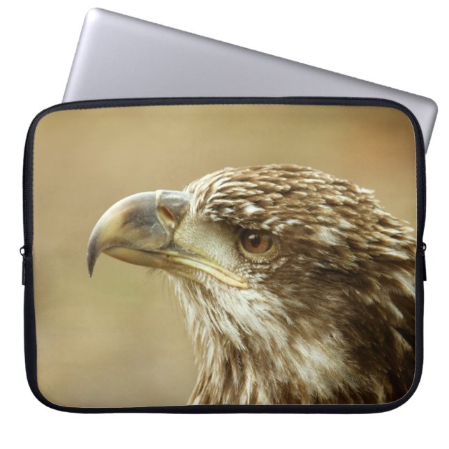Immature Bald Eagle Laptop Sleeve (Front)