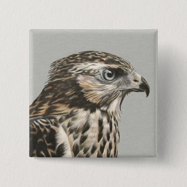 Immature Goshawk 2 Inch Square Button (Front)