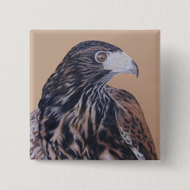 Immature Harris Hawk 2 Inch Square Button (Front)