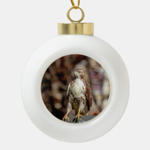 Immature Red Tailed Hawk Ceramic Ball Christmas Ornament