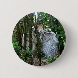 Immature Red Tailed Hawk Coordinating Items 2 Inch Round Button