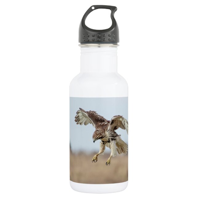 Immature Red Tailed Hawk Hovering 532 Ml Water Bottle (Front)