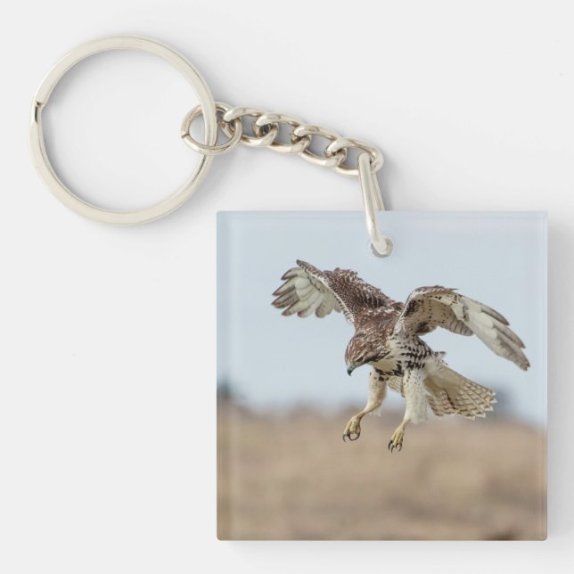 Immature Red Tailed Hawk Hovering Keychain (Front)