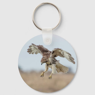 Immature Red Tailed Hawk Hovering Keychain