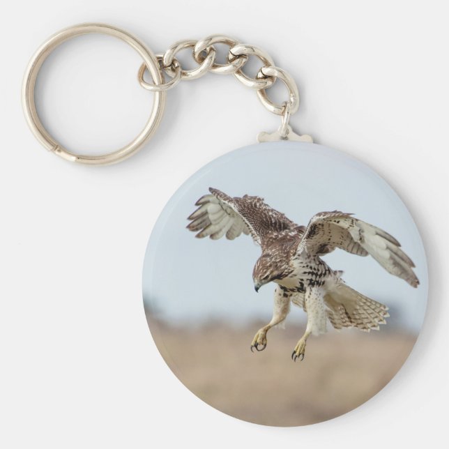 Immature Red Tailed Hawk Hovering Keychain (Front)