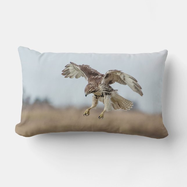 Immature Red Tailed Hawk Hovering Lumbar Pillow (Front)