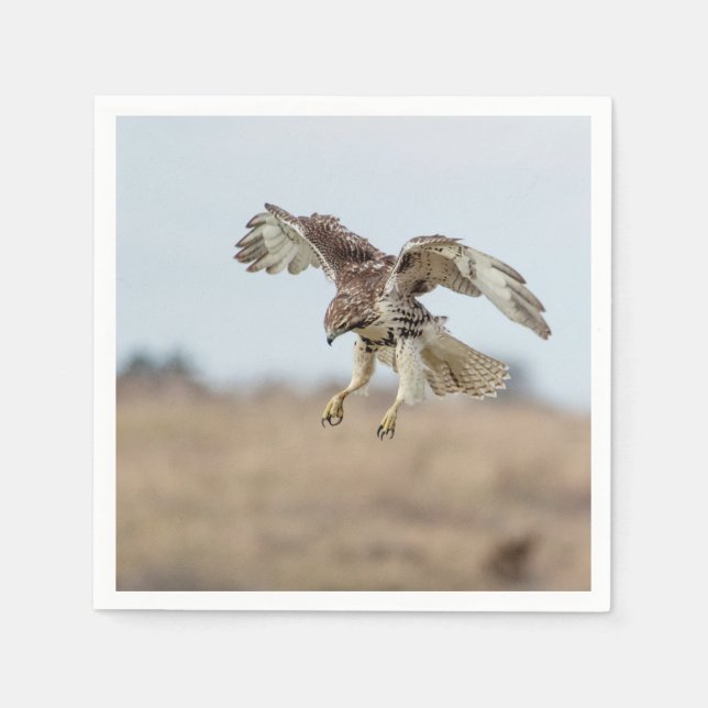 Immature Red Tailed Hawk Hovering Napkin (Front)