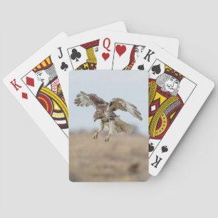 Immature Red Tailed Hawk Hovering Playing Cards