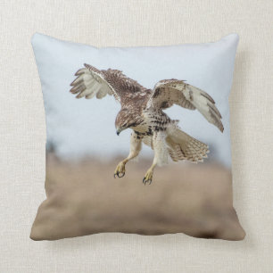 Immature Red Tailed Hawk Hovering Throw Pillow