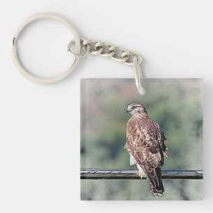 Immature Red Tailed Hawk Keychain