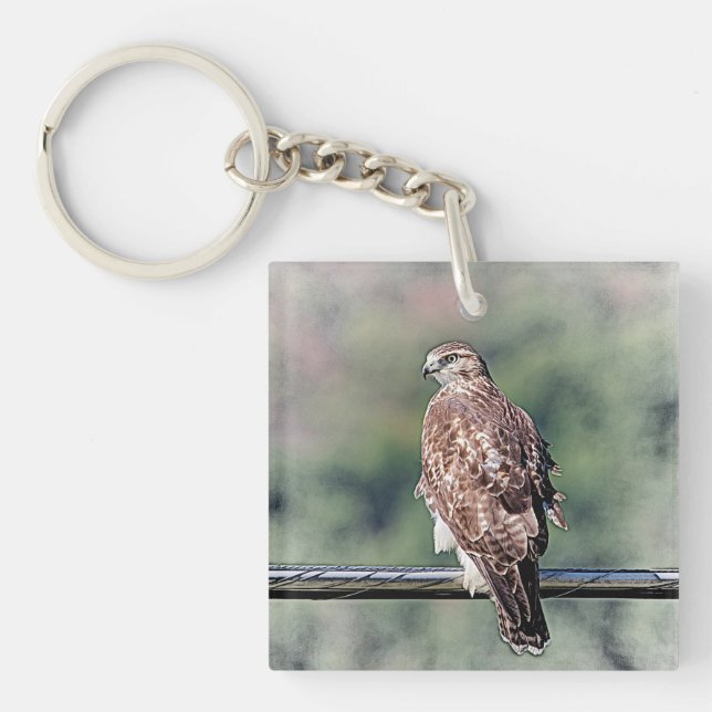 Immature Red Tailed Hawk Keychain (Front)