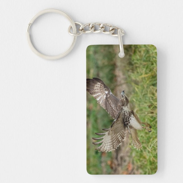 Immature Red Tailed Hawk Keychain (Front)