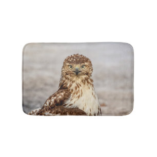 Immature Red-Tailed Hawk on the ground Bath Mat