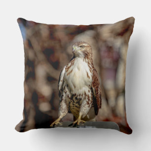 Immature Red Tailed Hawk Throw Pillow