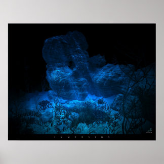 Immersion Poster