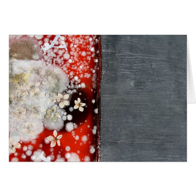 Immortalité 2 (Devant horizontal)