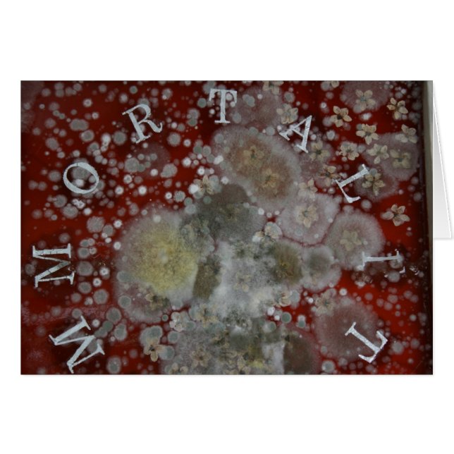 Immortality (Front Horizontal)