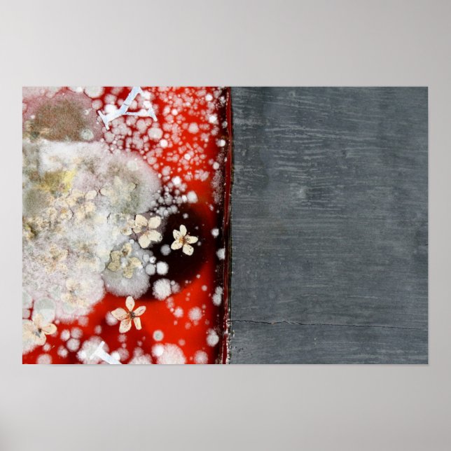 Immortality 2 poster (Front)