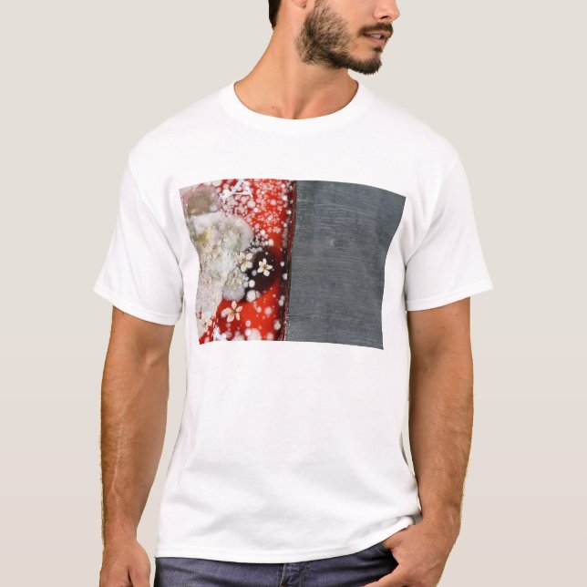 Immortality 2 T-Shirt (Front)