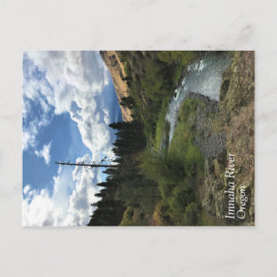 Imnaha River, Oregon Postcard