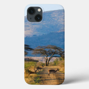 Impala (Aepyceros Melampus), Hluhluwe-Umfolozi iPhone 13 Case