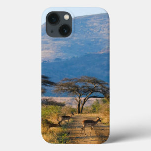 Impala (Aepyceros Melampus), Hluhluwe-Umfolozi iPhone 13 Case