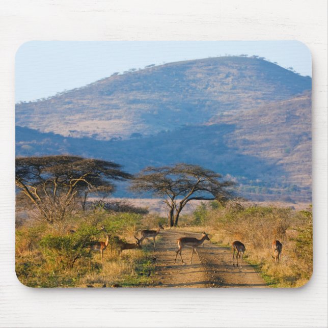 Impala (Aepyceros Melampus), Hluhluwe-Umfolozi Mouse Pad (Front)