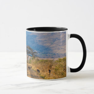 Impala (Aepyceros Melampus), Hluhluwe-Umfolozi Mug