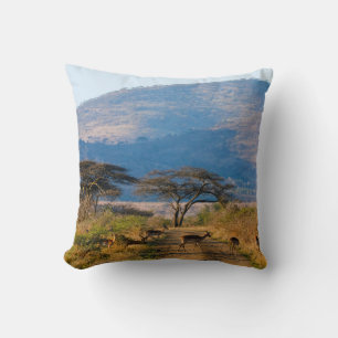 Impala (Aepyceros Melampus), Hluhluwe-Umfolozi Throw Pillow