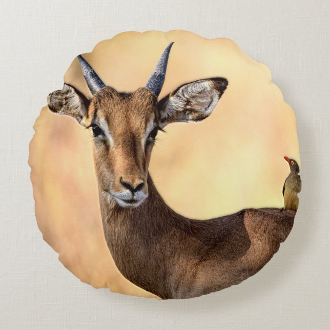 Impala and Oxpecker Bird in Africa Round Pillow (Front)