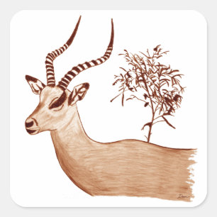 Impala Antelope Animal Wildlife Drawing Sketch Square Sticker