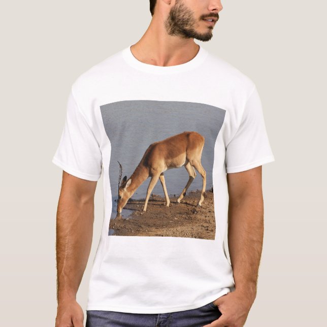 Impala antelope drinking at the waterhole photo T-Shirt (Front)