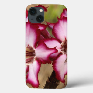 Impala Lily (Adenium Multiflorum), Kruger iPhone 13 Case