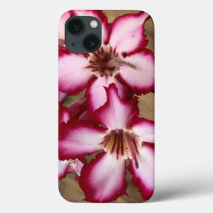 Impala Lily (Adenium Multiflorum), Kruger iPhone 13 Case