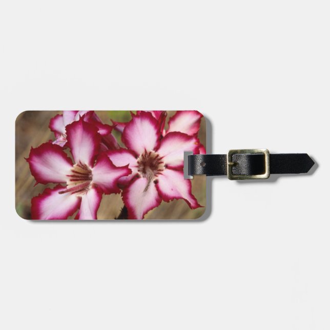 Impala Lily (Adenium Multiflorum), Kruger Luggage Tag (Front Horizontal)