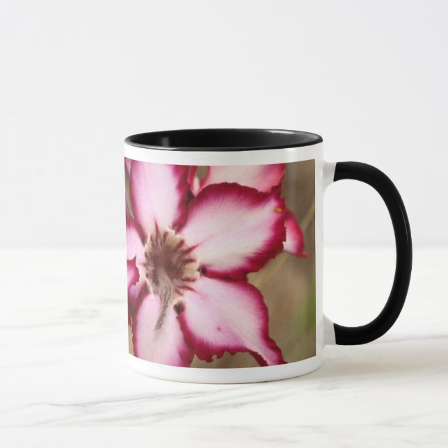 Impala Lily (Adenium Multiflorum), Kruger Mug (Right)
